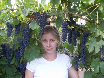 Виноград в Липецке