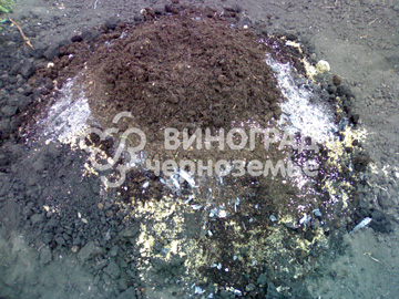 Вырытую почву удобрить